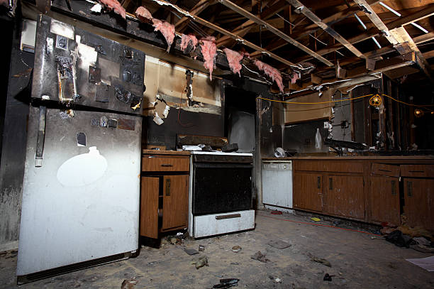 Licensed Fire Damage Removal service in Circle Pines, MN - Fire Damage Flint